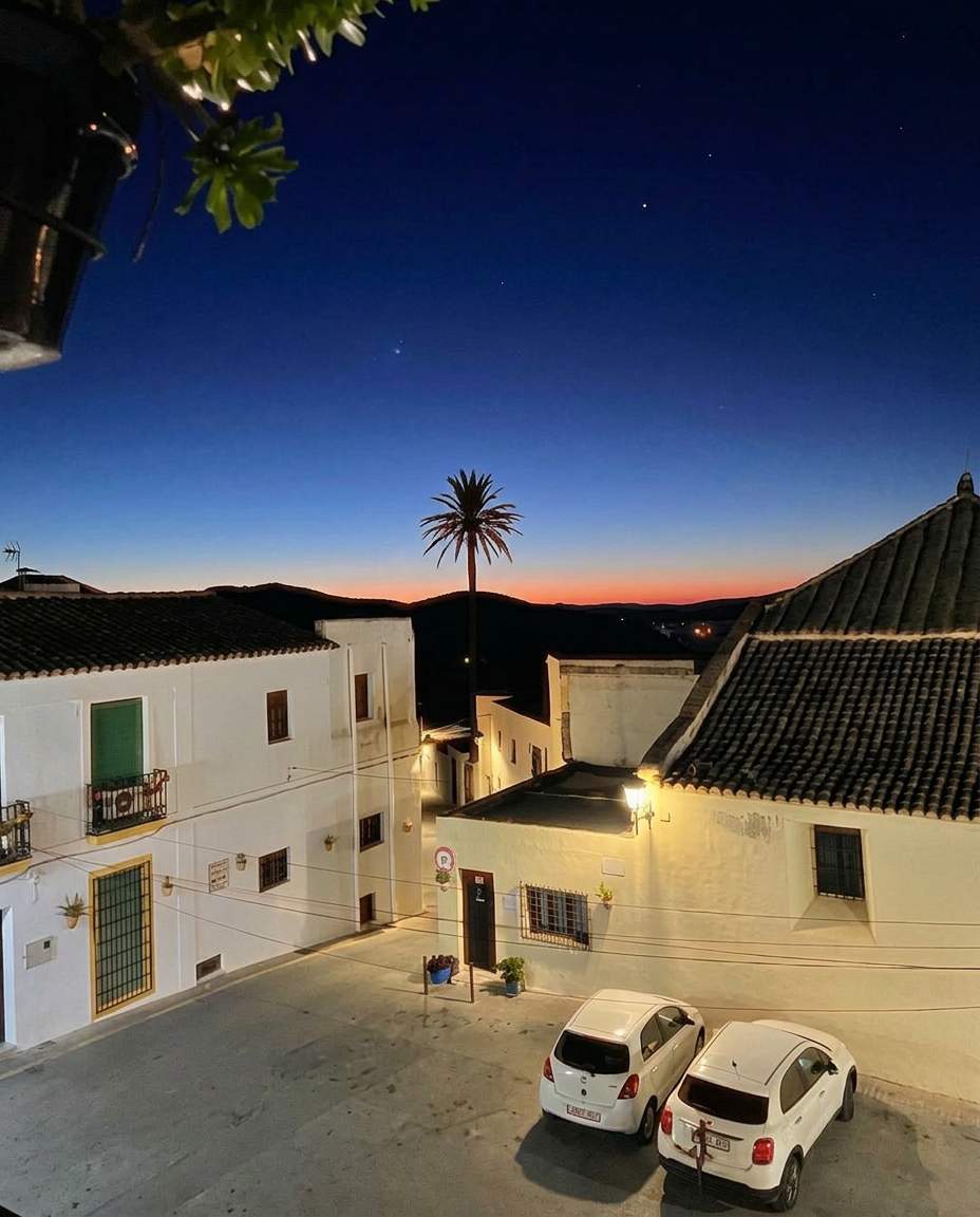 Rooftops of Níjar and a palm tree silhouetted against the sunset sky